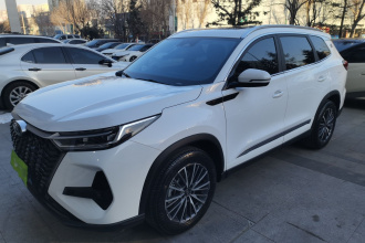 奇瑞 瑞虎8 PRO 2024款 冠军版 290T 两驱巅峰版 5座