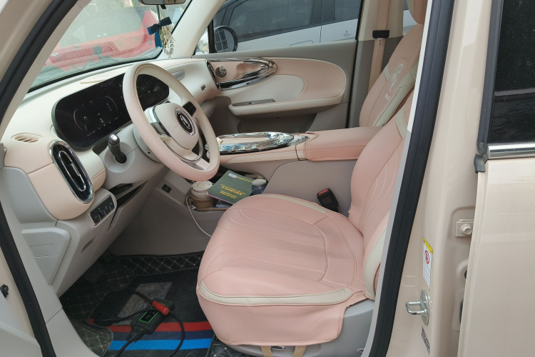 欧拉芭蕾猫 2022款 401km 胡桃夹子版局部细节19