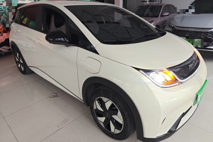 比亚迪 海豚 2024款 荣耀版 420km 自由版车身外观6002