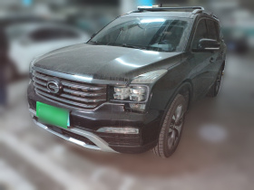 广汽传祺 传祺GS8 2017款 320T 两驱豪华智联版（七座）