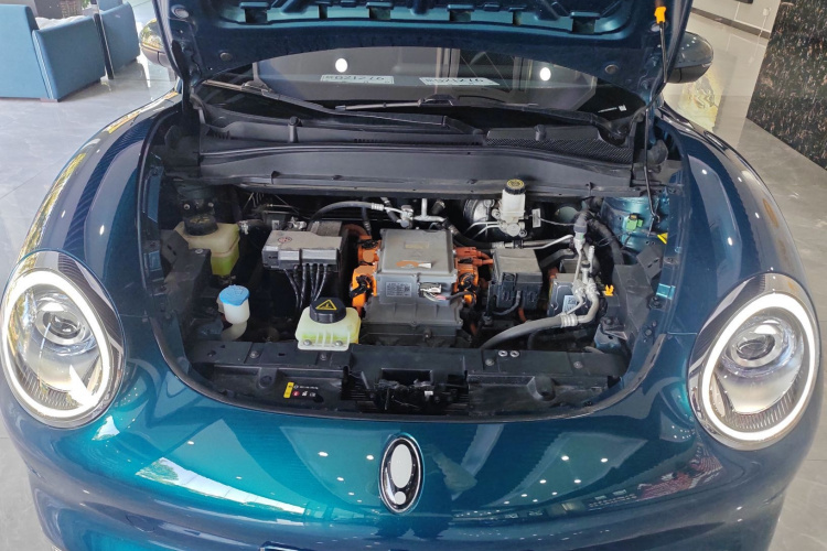 欧拉好猫 2022款 莫兰迪版 400km标准续航 两周年轻享型 磷酸铁锂局部细节24