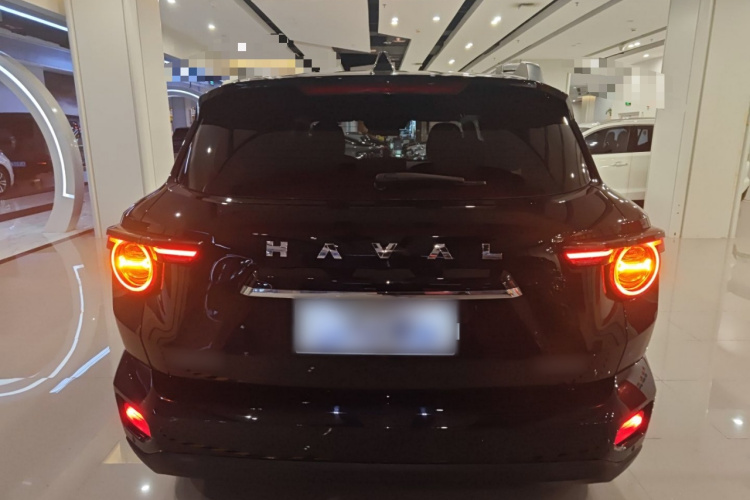 哈弗大狗 PLUS 2023款 1.5T 两驱潮野版Plus车身外观6