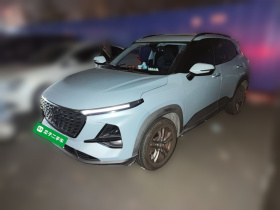 宝骏RS-3 2020款 1.5L CVT  24小时在线豪华型