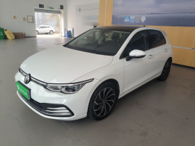 大众 高尔夫 2021款 280TSI DSG Pro