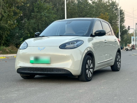 五菱汽车 五菱缤果 2023款 333km 灵犀互联款