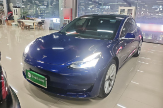 特斯拉 Model 3 2020款 标准续航后驱升级版