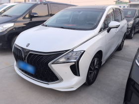 东风风行 风行游艇 2022款 1.5T DCT揽月版