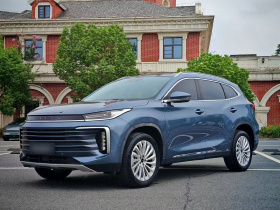 星途凌云 2021款 290T 两驱星睿版