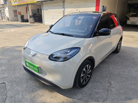 五菱汽车 五菱缤果 2023款 333km 悦享款