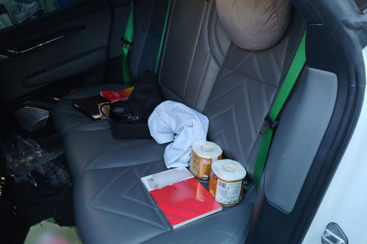 极氪001 2021款 超长续航双电机 YOU版中控内饰7003