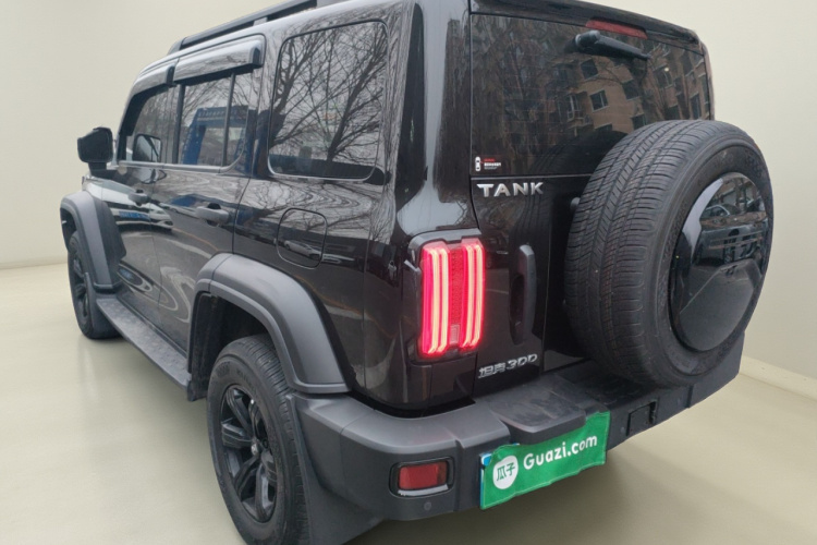 坦克300 2023款 越野版 2.0T 挑战者车身外观5