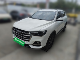 哈弗H6 2021款 国潮版 1.5T 自动都市版