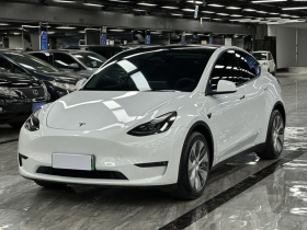 特斯拉 Model Y 2021款 标准续航后驱版