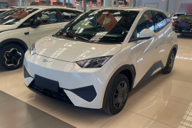 比亚迪 海鸥 2025款 智驾版 305km 活力版