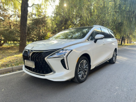 东风风行 风行游艇 2024款 1.5T DCT 观海版