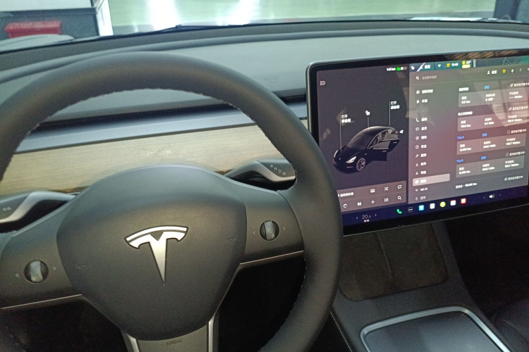 特斯拉 Model 3 2021款 标准续航后驱升级版 3D6局部细节18