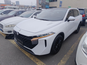 启辰大V 2021款 260T 爱豆版