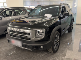 哈弗大狗 2024款 1.5T DCT边牧版