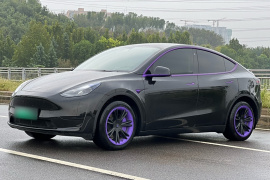 特斯拉 Model Y 2022款 后轮驱动版