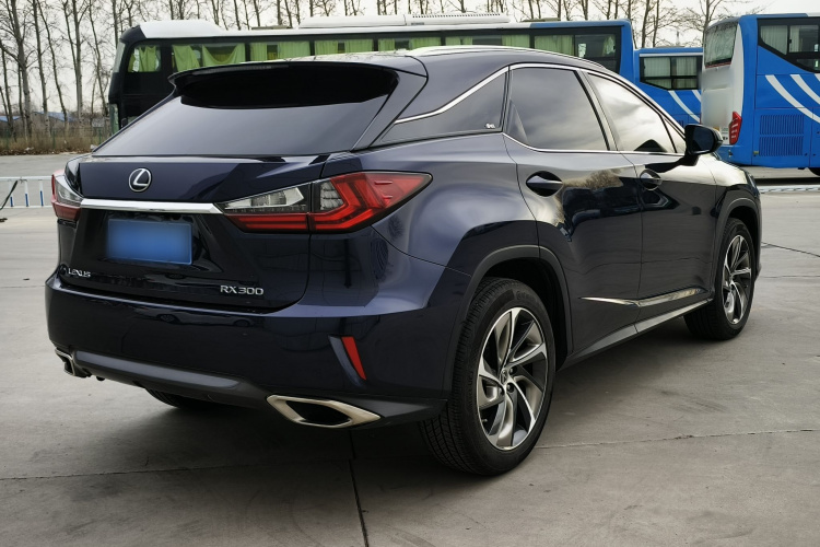 雷克萨斯RX 2016款 300 四驱典雅版 国VI车身外观6004