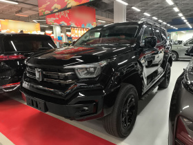 坦克400 2025款 2.0T 汽油版