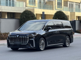 岚图汽车 岚图梦想家 2024款 PHEV 超长续航旗舰版