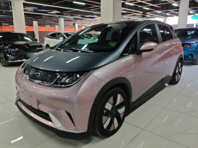 比亚迪 海豚 2021款 401km 骑士版