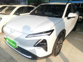 五菱汽车 五菱星光S 2024款 130km 领航型