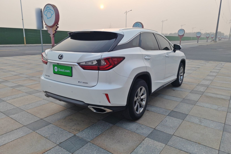 雷克萨斯RX 2016款 300 两驱精英版 国V车身外观6004