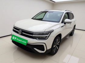 大众 途岳 2023款 300TSI 两驱皎月版