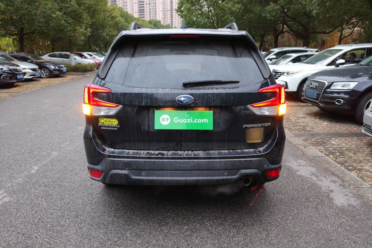 斯巴鲁 森林人 2019款 2.0i 豪华版EyeSight车身外观6