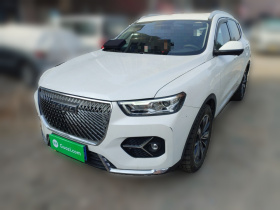 哈弗H6 2021款 1.5T 自动冠军版