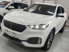 魏牌 VV6 2020款 2.0T 两驱智护+