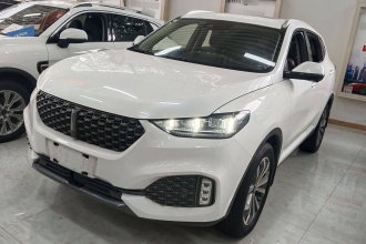 魏牌 VV6 2020款 2.0T 两驱智护+