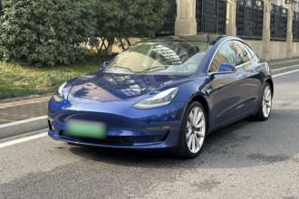 特斯拉 Model 3 2020款 改款 长续航后轮驱动版