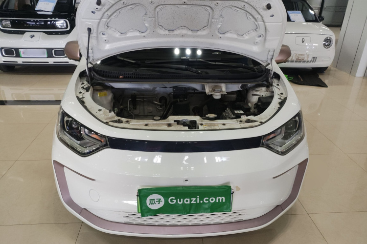 思皓 2022款 花仙子款 向日葵机舱底盘24