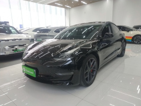 特斯拉 Model 3 2022款 Performance高性能全轮驱动版