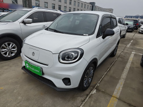 零跑汽车 零跑T03 2021款 400轻享版 磷酸铁锂