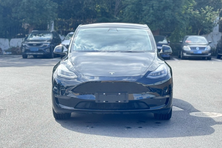 特斯拉 Model Y 2021款 长续航全轮驱动版 3D7车身外观6001
