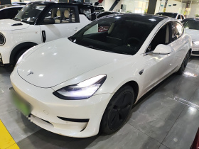 特斯拉 Model 3 2019款 标准续航后驱升级版