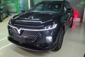 岚图汽车 岚图知音 2024款 四驱全球版