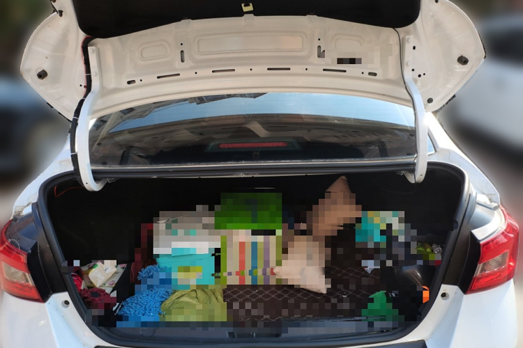 奇瑞 艾瑞泽5 2021款 PRO 1.5L CVT青春版局部细节23