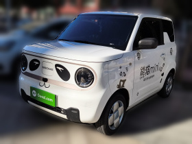 吉利银河 2023款 熊猫mini 200km 耐力熊