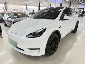 特斯拉 Model Y 2021款 标准续航后驱版