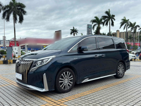 广汽传祺 传祺M8 2021款 大师系列 390T 尊贵版