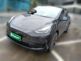 特斯拉 Model Y 2024款 后轮驱动版