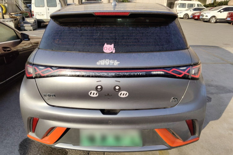 比亚迪 海豚 2021款 405km 时尚版车身外观6