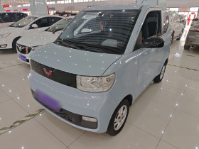 五菱汽车 宏光MINIEV 2020款 轻松款 三元锂