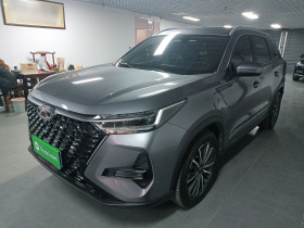 奇瑞 瑞虎8 PRO 2024款 冠军版 290T 两驱巅峰版 7座