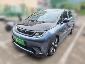 比亚迪 海豚 2023款 401km 骑士版